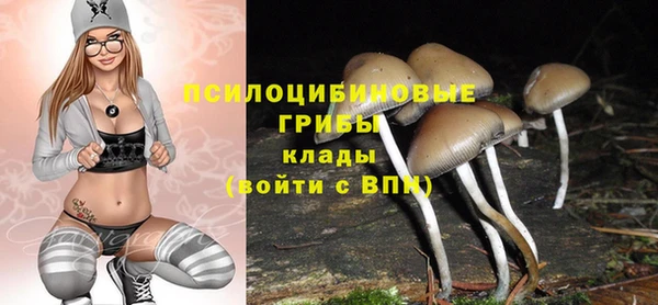 дмт Балахна