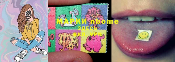 тгк Осташков