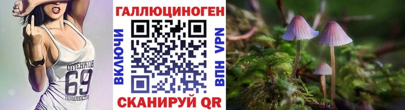 Псилоцибиновые грибы прущие грибы  Белозерск 